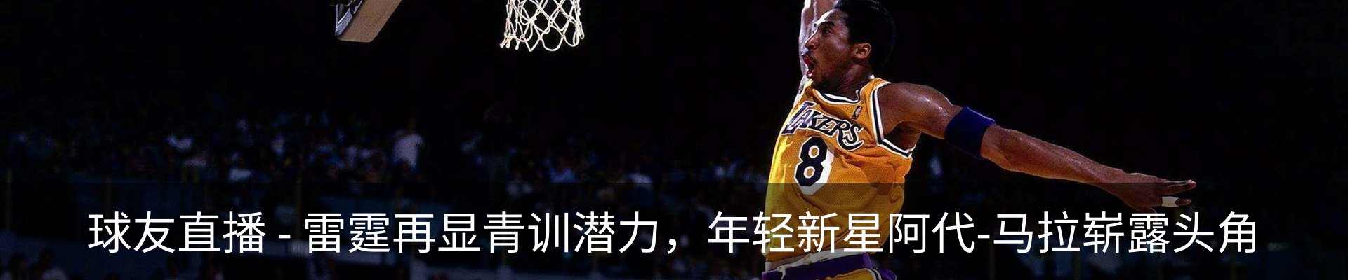 内页banner